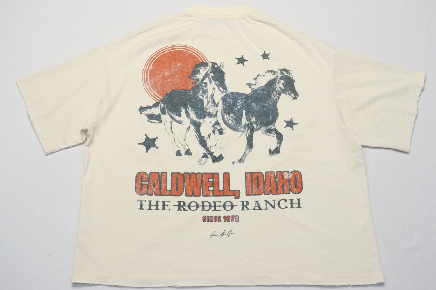 [238] : Caldwell Cropped Vintage Oversized Tee – Off White – S - BDK